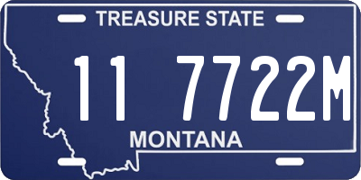 MT license plate 117722M