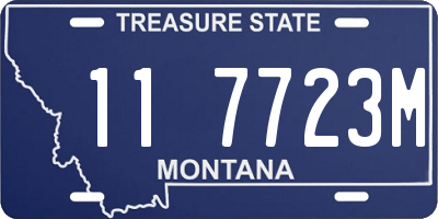 MT license plate 117723M