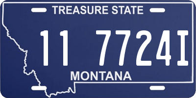 MT license plate 117724I