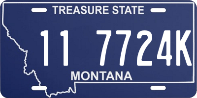 MT license plate 117724K