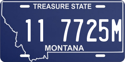 MT license plate 117725M