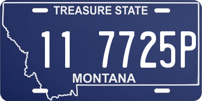 MT license plate 117725P