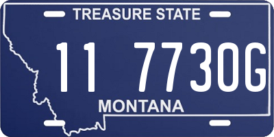 MT license plate 117730G