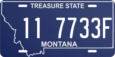 MT license plate 117733F