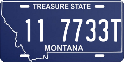 MT license plate 117733T
