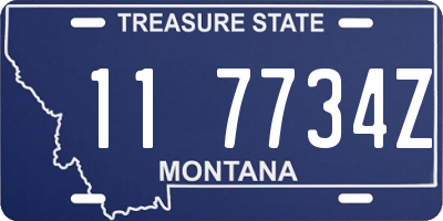 MT license plate 117734Z