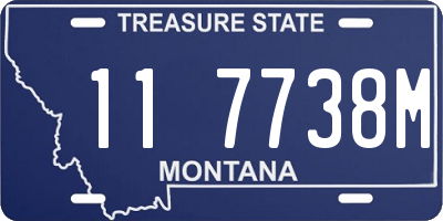 MT license plate 117738M