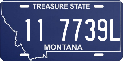 MT license plate 117739L