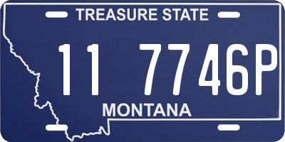 MT license plate 117746P
