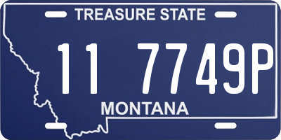 MT license plate 117749P