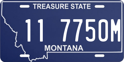 MT license plate 117750M