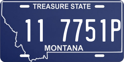 MT license plate 117751P