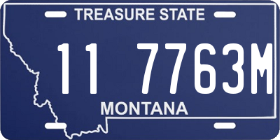 MT license plate 117763M