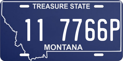 MT license plate 117766P