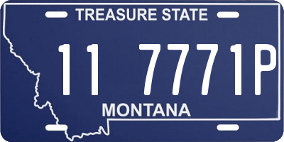 MT license plate 117771P