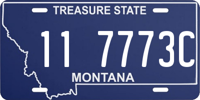 MT license plate 117773C