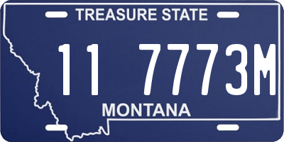 MT license plate 117773M