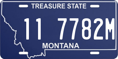 MT license plate 117782M