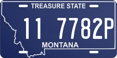 MT license plate 117782P