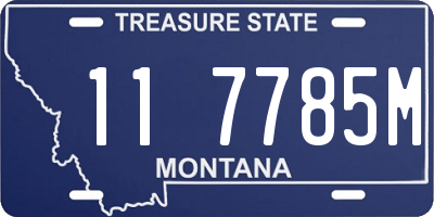 MT license plate 117785M