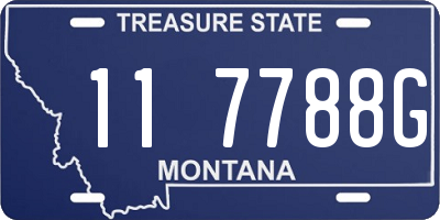 MT license plate 117788G