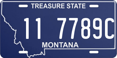 MT license plate 117789C