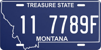 MT license plate 117789F