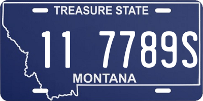 MT license plate 117789S
