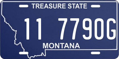 MT license plate 117790G