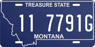 MT license plate 117791G