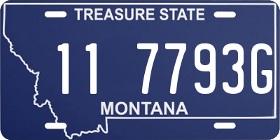 MT license plate 117793G