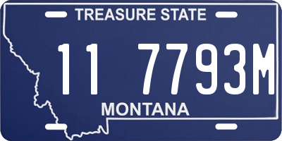 MT license plate 117793M