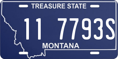 MT license plate 117793S