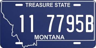 MT license plate 117795B