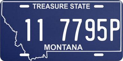 MT license plate 117795P