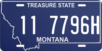 MT license plate 117796H