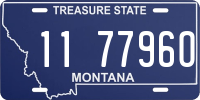 MT license plate 117796O