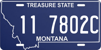 MT license plate 117802C