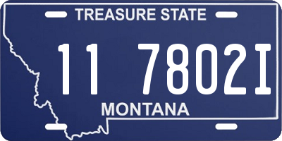 MT license plate 117802I