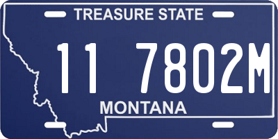 MT license plate 117802M