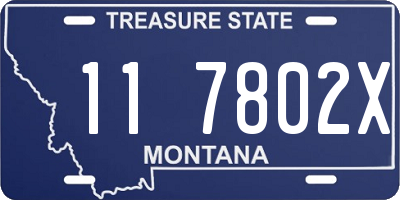 MT license plate 117802X
