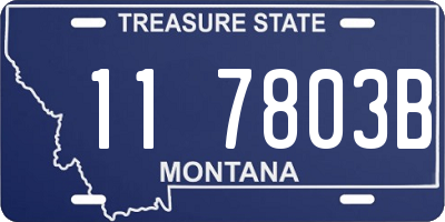 MT license plate 117803B
