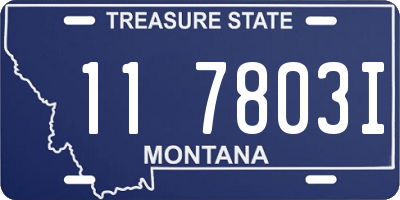 MT license plate 117803I