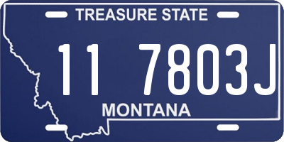 MT license plate 117803J