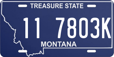 MT license plate 117803K