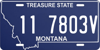 MT license plate 117803V