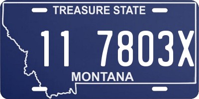 MT license plate 117803X