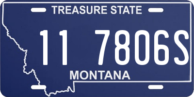 MT license plate 117806S