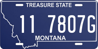 MT license plate 117807G