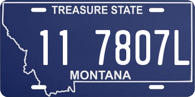 MT license plate 117807L